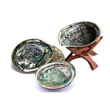 Sage Smudging Abalone Shell